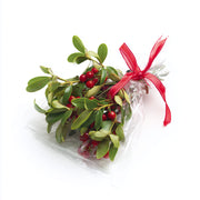 Mistletoe