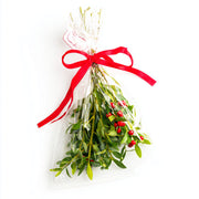 Mistletoe